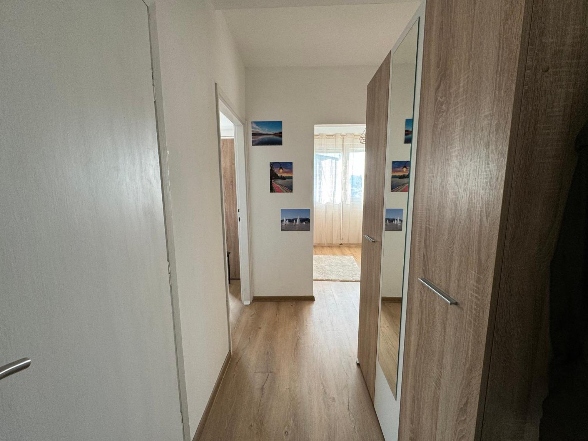 Vuk Apartman Donji Milanovac Exterior photo
